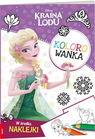 LIBRO PINTURA A4 FROZEN NAKL AM