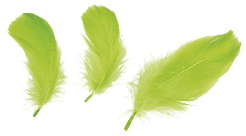 PLUMAS DECORATIVAS 16G TITANIO VERDE BRILLANTE SERIE CRAFT-FUN