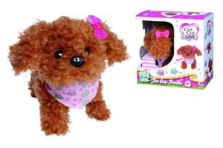 PELUCHE PERRO 19X11X19 CHICHI SIMBA WB SIMBA