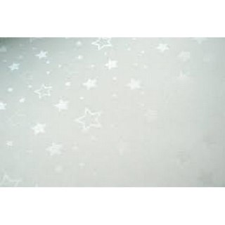 CARTULINA CRAFT A4 ESTRELLAS PLATA 220G PAPEL GALERÍA 204305 ARGO