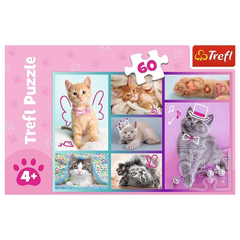 PUZZLE 60 PIEZAS GATITOS DULCES TREFL 17373 TR TREFL