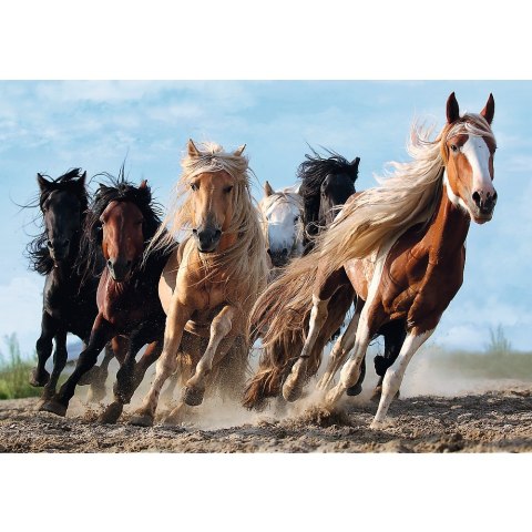 PUZZLE 1000 PIEZAS CABALLOS AL GALOPE TREFL 10446 TR