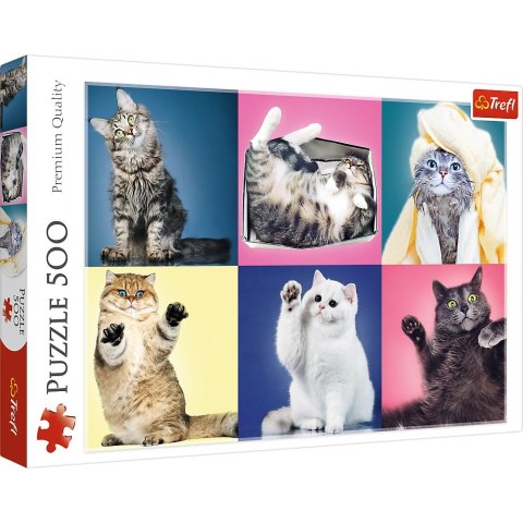 PUZZLE 500 PIEZAS TREFL GATITOS 37377