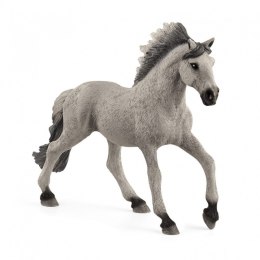 Mustang Caballo Sorraia Stallion Figura
