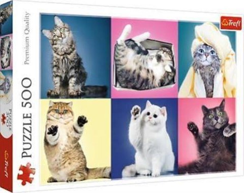 PUZZLE 500 PIEZAS TREFL GATITOS 37377