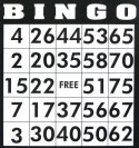 Bingo - set de juego negro (HG)