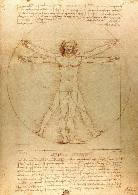 Rompecabezas de 1000 piezas El hombre de Vitruvio, Leonardo da Vinci