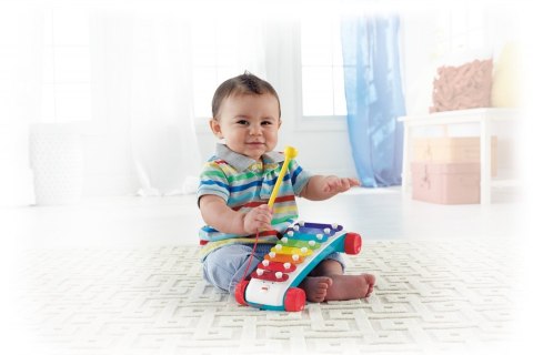 PLATILLOS FISHER PRICE MATTEL CMY09