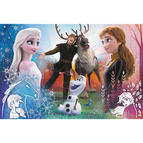 PUZZLE 300 ELEMENTÓW FROZEN 2 TREFL 23006 TR TREFL