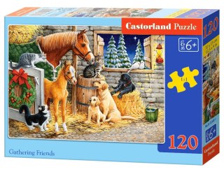 PUZZLE 120 ELEMENTÓW GATHERING FRIENDS CASTORLAND B-13340 CASTOR