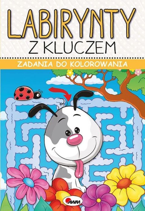 KSIĄŻECZKA EDUKACYJNA 20X29 CM LABIRYNTY Z KLUCZEM MOREX 813617 MOR MOREX