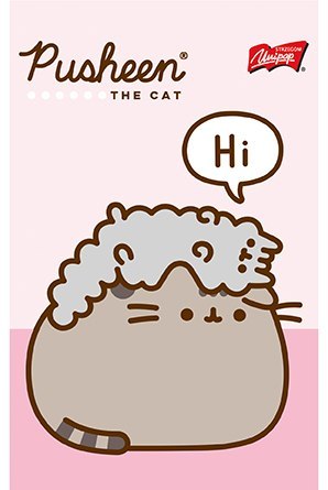 NOTES A6/50K KRATKA PUSHEEN U-PAP FOL A 10 ST. MAJEWSKI 716607 ST. MAJEWSKI