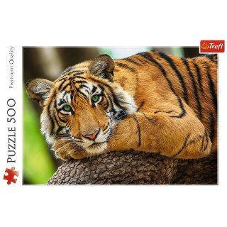 PUZZLE 500 ELEMENTÓW PORTRET TYGRYSA TREFL 37397 TR TREFL