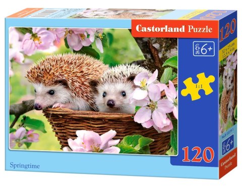 PUZZLE 120 ELEMENTÓW SPRINGTIME CASTORLAND B-13319 CASTOR