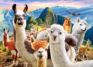 PUZZLE 200 ELEMENTÓW LLAMAS SELFIE CASTORLAND B-222193 CASTOR