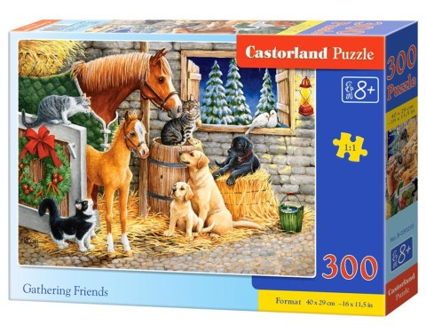 PUZZLE 300 ELEMENTÓW GATHERING FRIENDS CASTORLAND B-030255 CASTOR