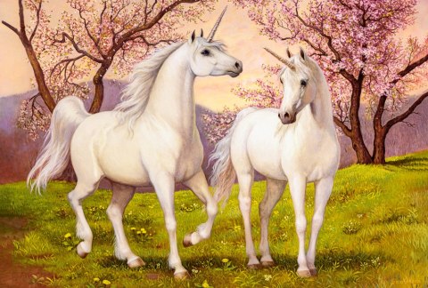 PUZZLE 1000 EL. UNICORN LOVE CASTORLAND C-105236 CASTOR