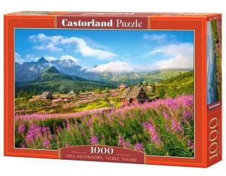 PUZZLE 1000 ELEMENTÓW HALA GĄSIENICOWA, TATRAS, POLAND CASTORLAND C-104512 CASTOR