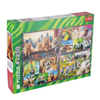 PUZZLE 4X250 ZABAWNE ZWIERZAKI ZOO TREFL 13313 TR TREFL