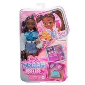 BRB DREAM BESTIES LALKA BROOKLIN HYC22 WB4 MATTEL