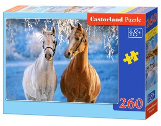 PUZZLE 260 ELEMENTÓW THE WINTER HORSES CASTORLAND B-27378 CASTOR