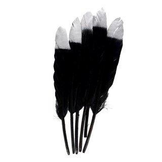 PLUMAS DECORATIVAS 10-15CM NEGRO/PLATA ARTESANAL CON DIVERSIÓN 463663