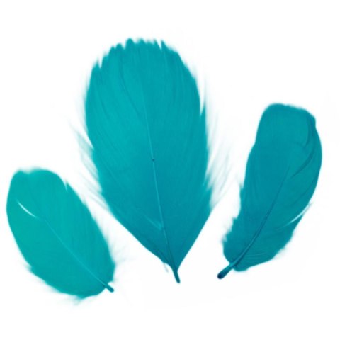 PLUMAS DECORATIVAS 16G TURQUESA CLARO TITANIO SERIE CRAFT-FUN