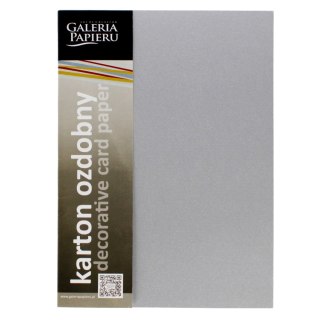 CARTULINA DECORATIVA A4 180G PLATA GALERIA DE PAPEL MILLENIUM PAQUETE DE 20 UDS. ARGO 200771 ARGO