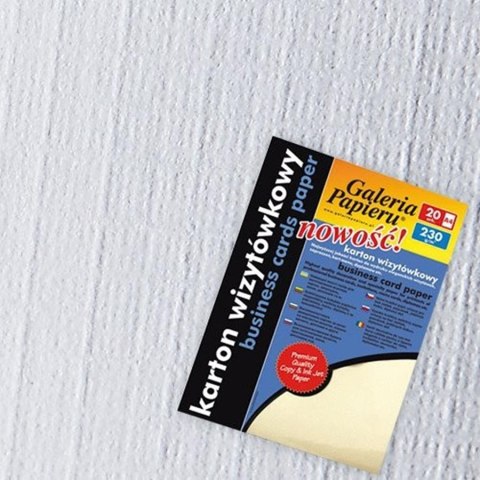 CARTULINA DECORATIVA A4 CUADROS BLANCO 230G PAPEL GALERÍA 995018 ARGO