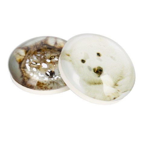 IMÁN CRISTAL LOBO/OSO CÚPULA 3,5 CM PAQUETE 2 UDS. IMÁN 231-0-0003 IMÁN