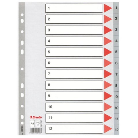 INSERCIÓN A4 PP 1-12 NUMÉRICO ESSELTE 100106 ESSELTE