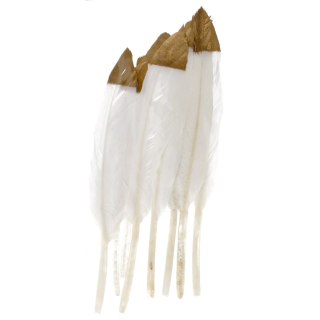 PLUMAS DECORATIVAS BLANCO/DORADO 10-15CM 3GCRAFT CON DIVERSIÓN 463660