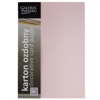 CARTULINA DECORATIVA A4 250 G ROSA GALERIA DE PAPEL PAQUETE DE 20 UDS. ARGO 200752 ARGO